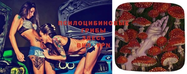 гидра Алзамай