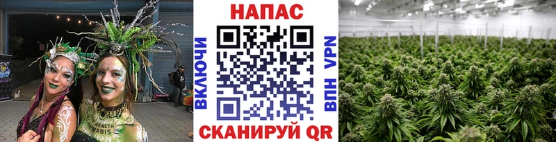 Конопля конопля  OMG рабочий сайт  Харовск 